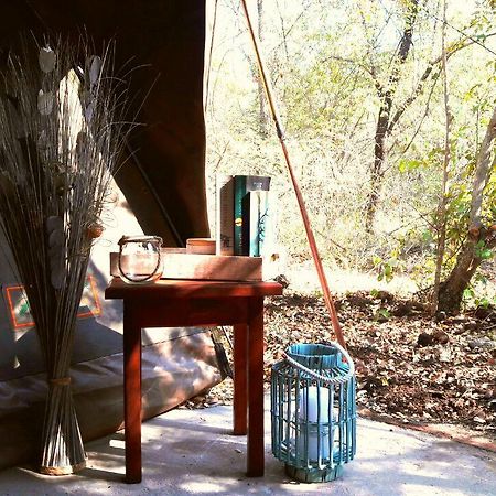 Beyond The Boma Boutique Guesthouse Marloth Park Eksteriør bilde