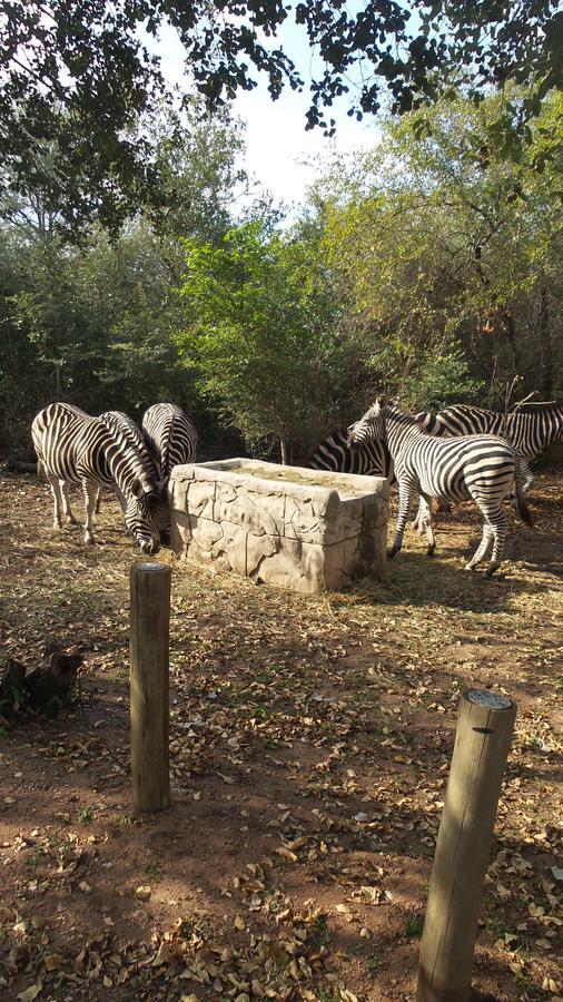 Beyond The Boma Boutique Guesthouse Marloth Park Eksteriør bilde