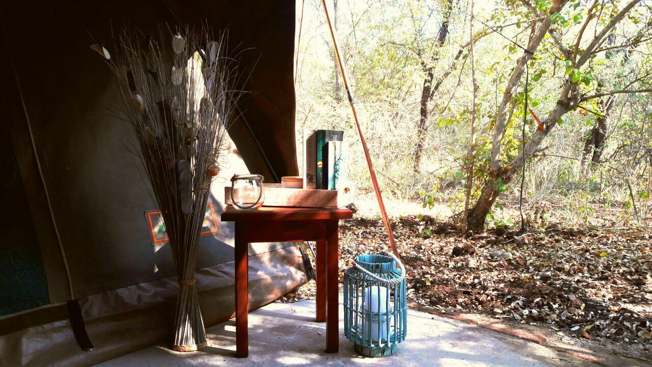 Beyond The Boma Boutique Guesthouse Marloth Park Eksteriør bilde